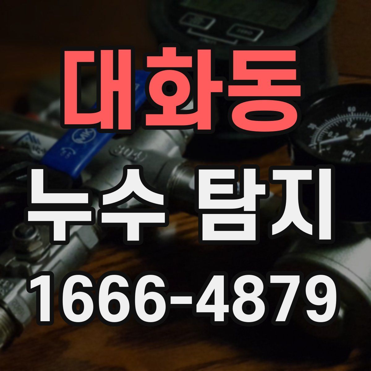 대화동 누수 탐지