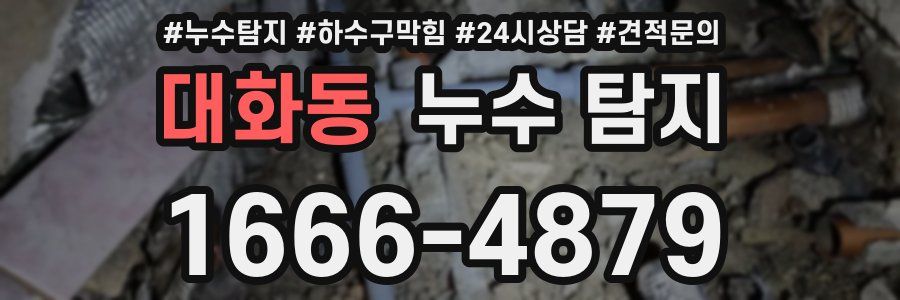 대화동 누수 탐지