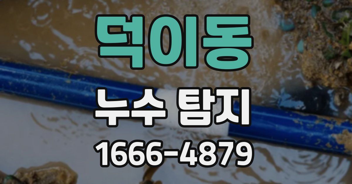 덕이동 누수 탐지