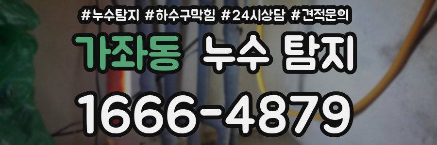 가좌동 누수 탐지