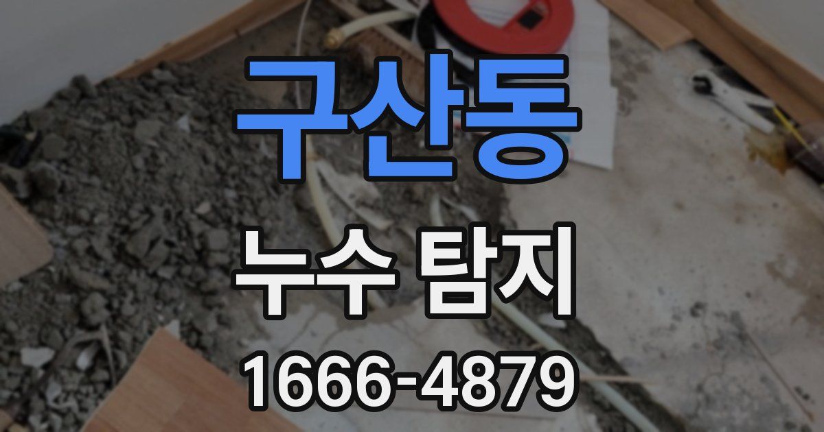 구산동 누수 탐지