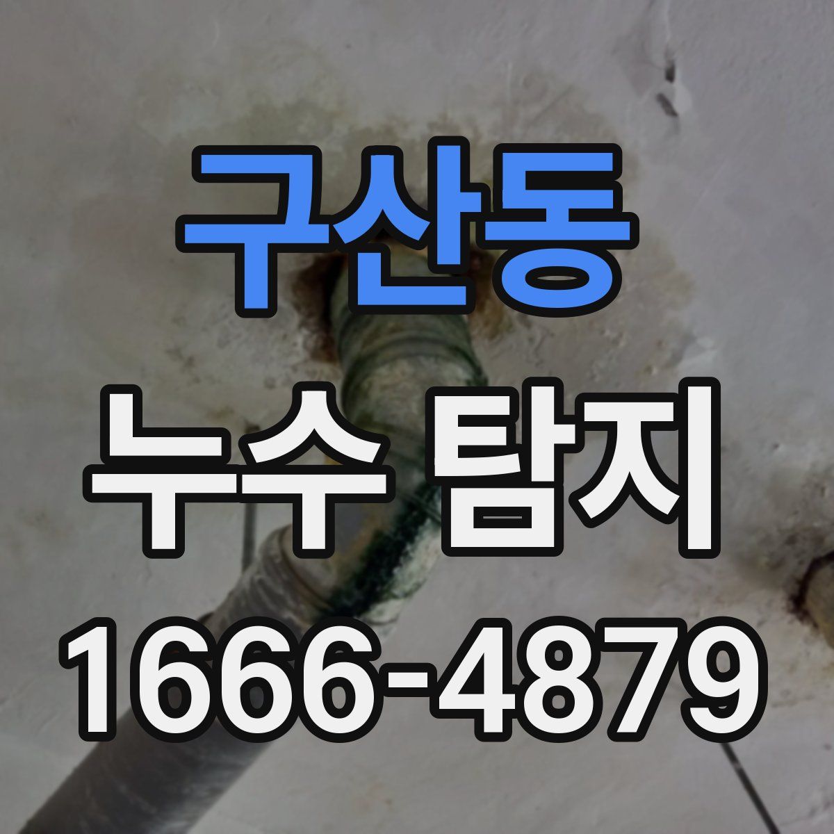 구산동 누수 탐지