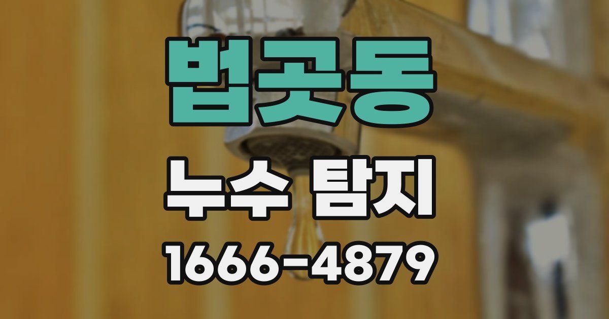 법곳동 누수 탐지