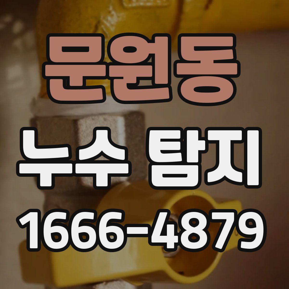 문원동 누수 탐지