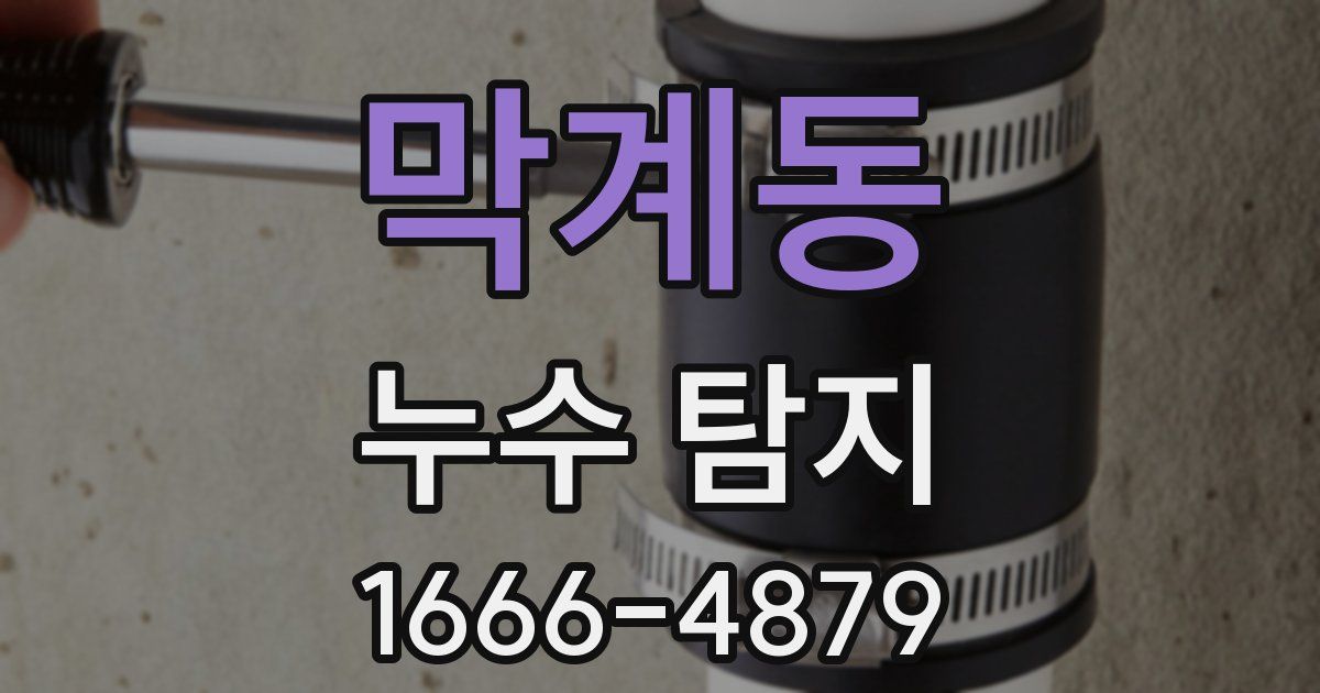 막계동 누수 탐지