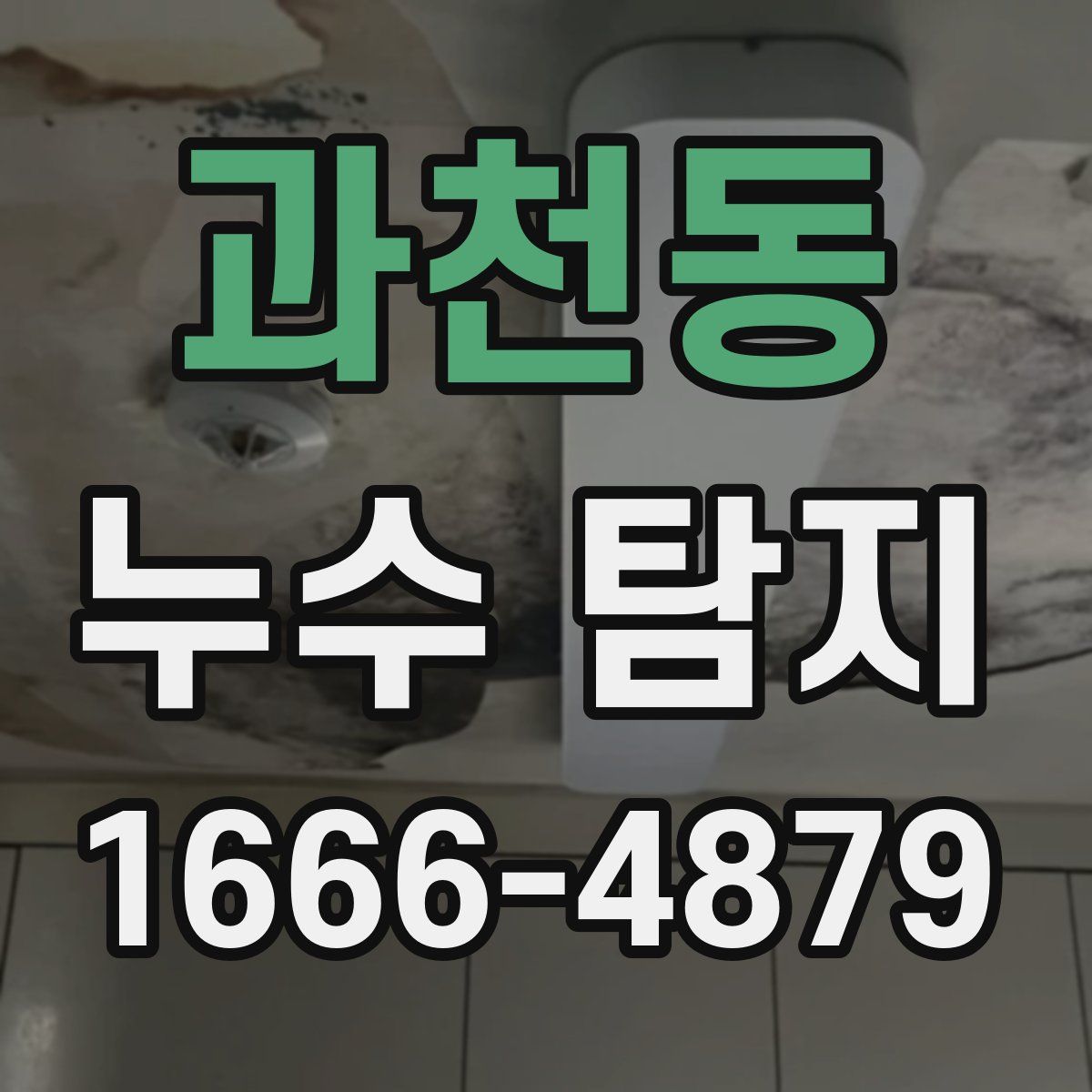 과천동 누수 탐지