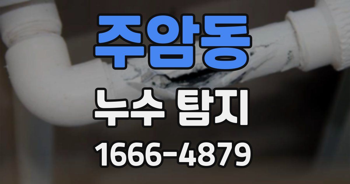 주암동 누수 탐지