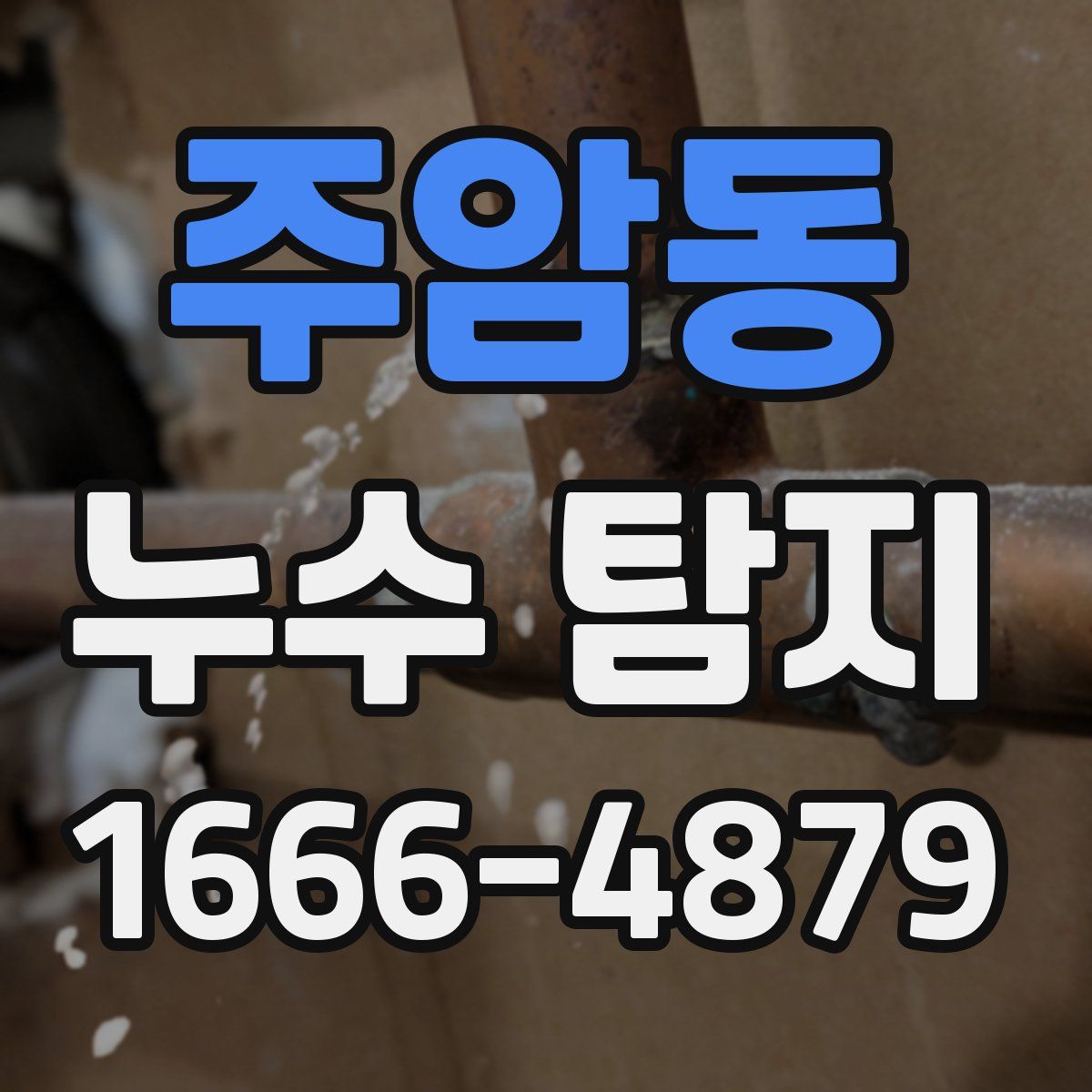 주암동 누수 탐지