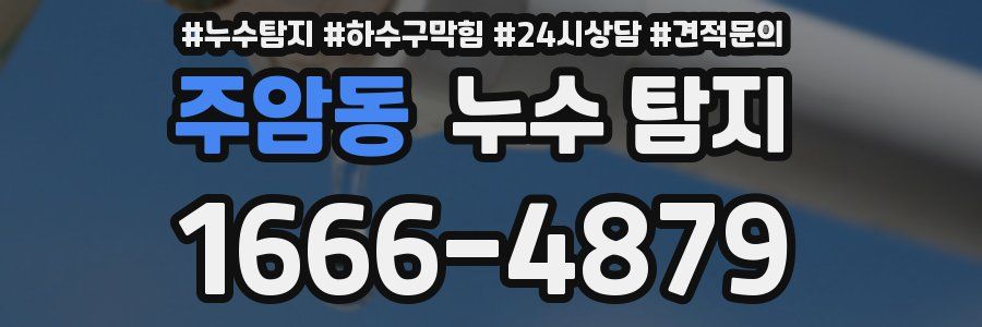 주암동 누수 탐지