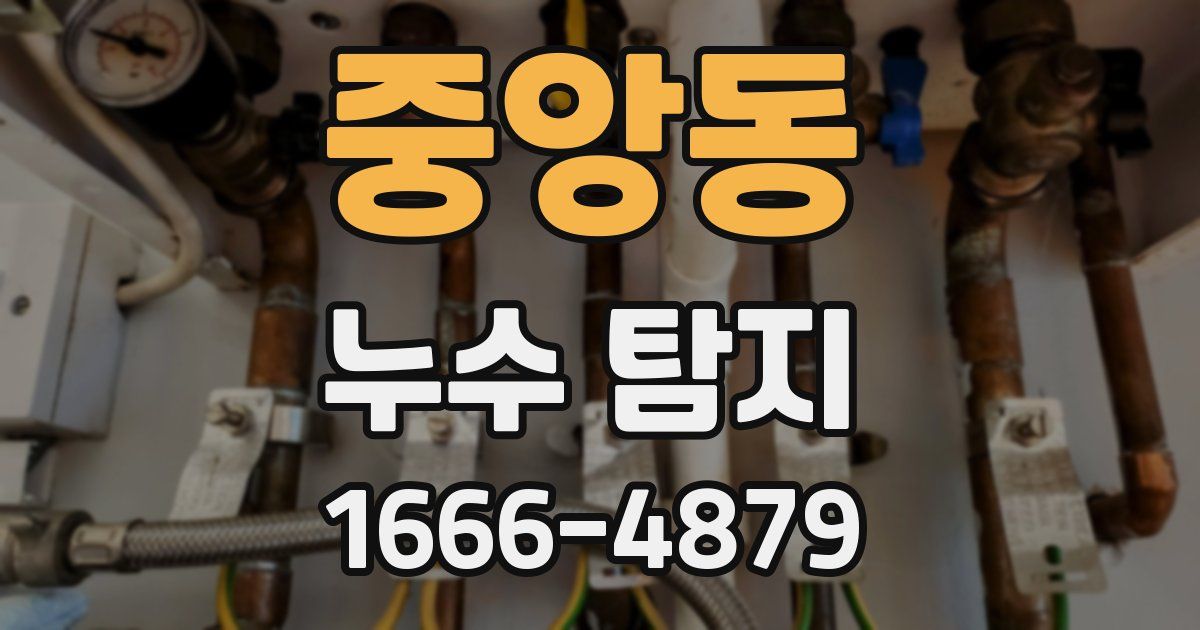 중앙동 누수 탐지