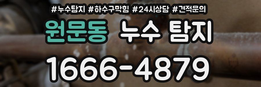 원문동 누수 탐지