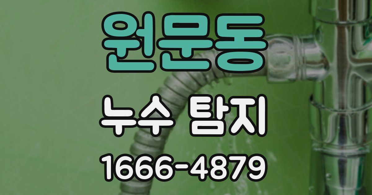 원문동 누수 탐지