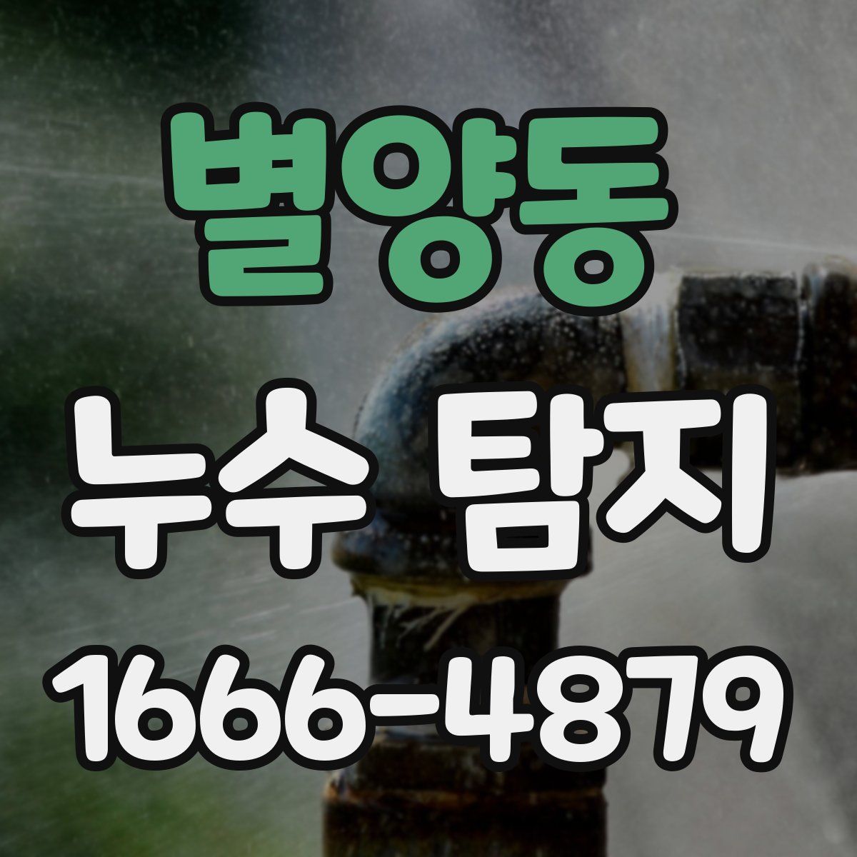 별양동 누수 탐지