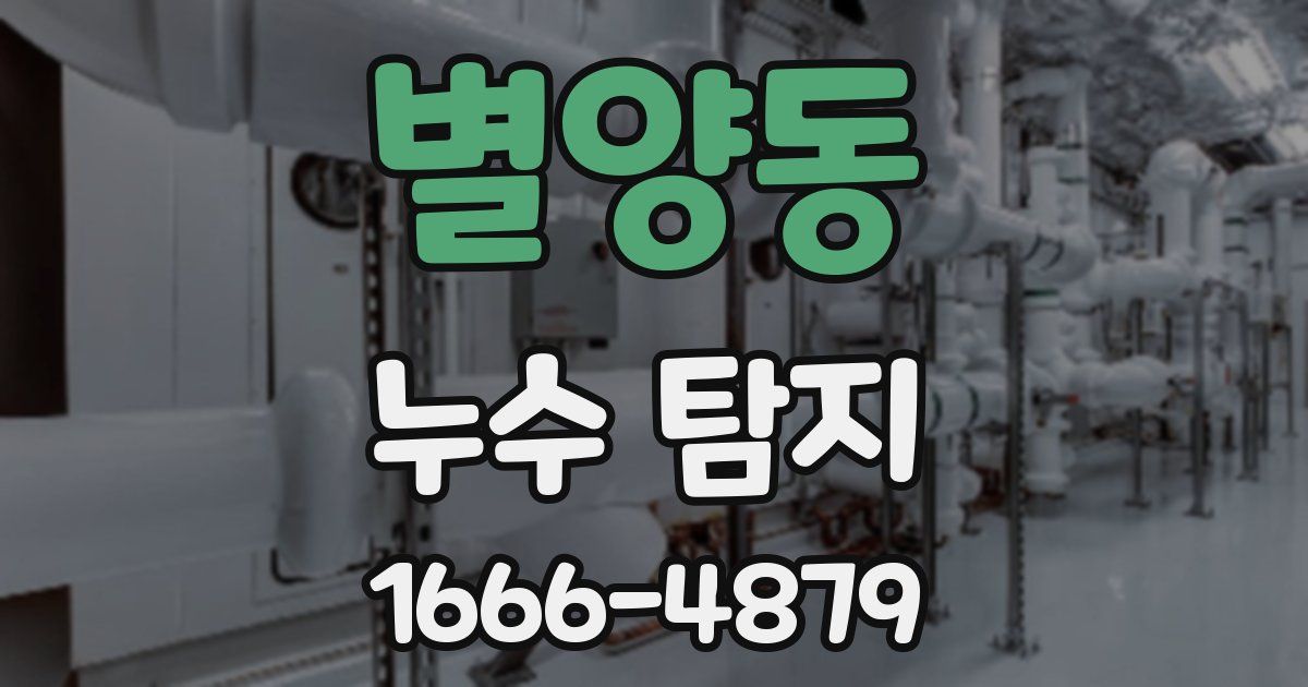 별양동 누수 탐지