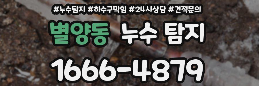 별양동 누수 탐지