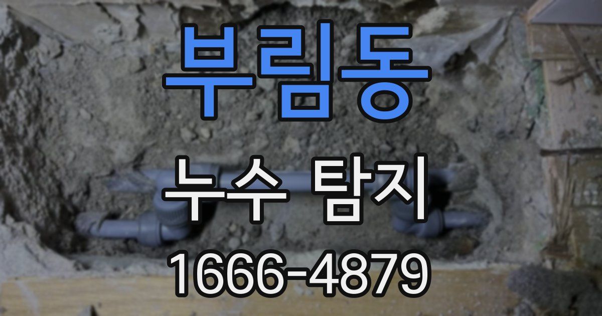 부림동 누수 탐지