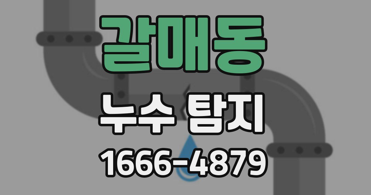 갈매동 누수 탐지