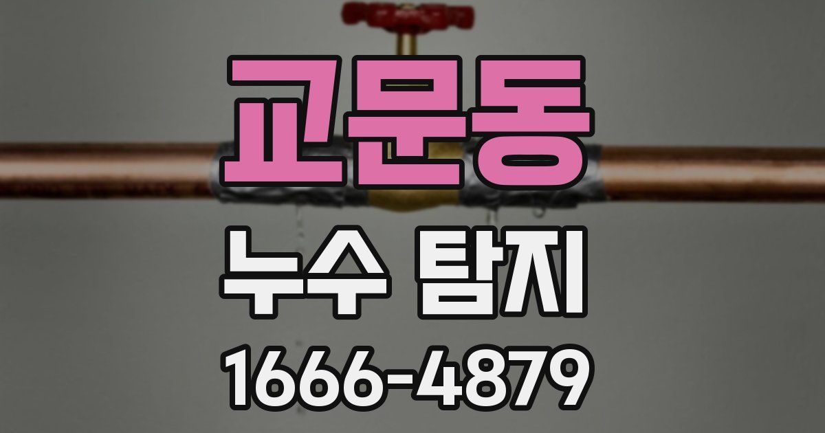 교문동 누수 탐지