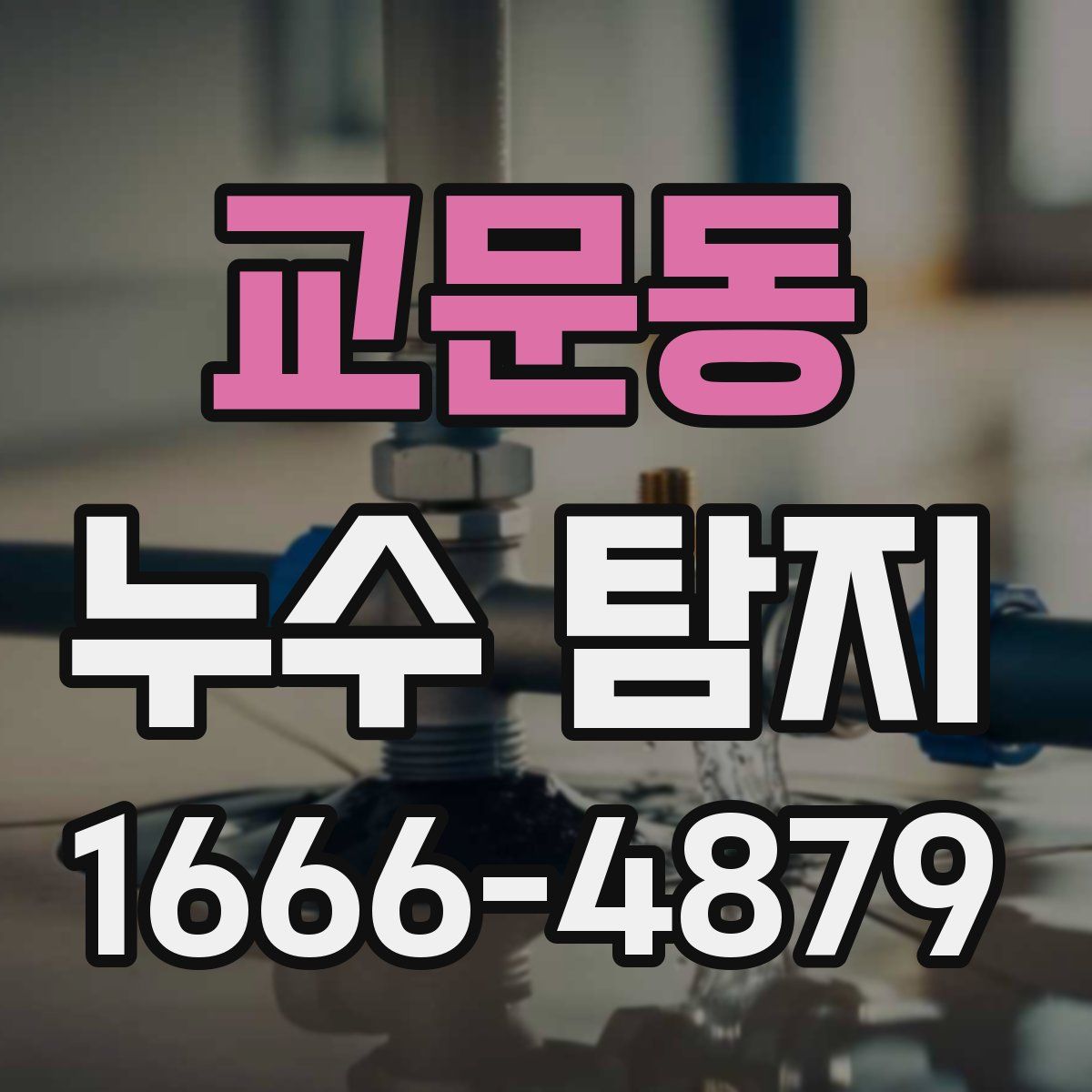교문동 누수 탐지