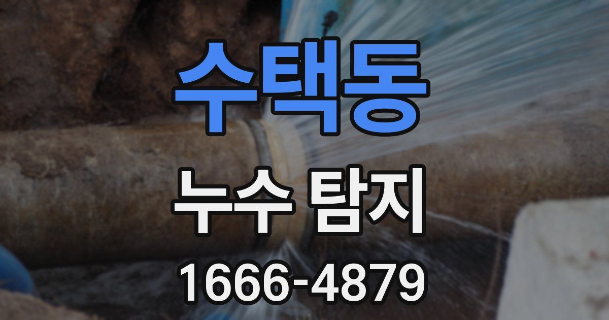 수택동 누수 탐지
