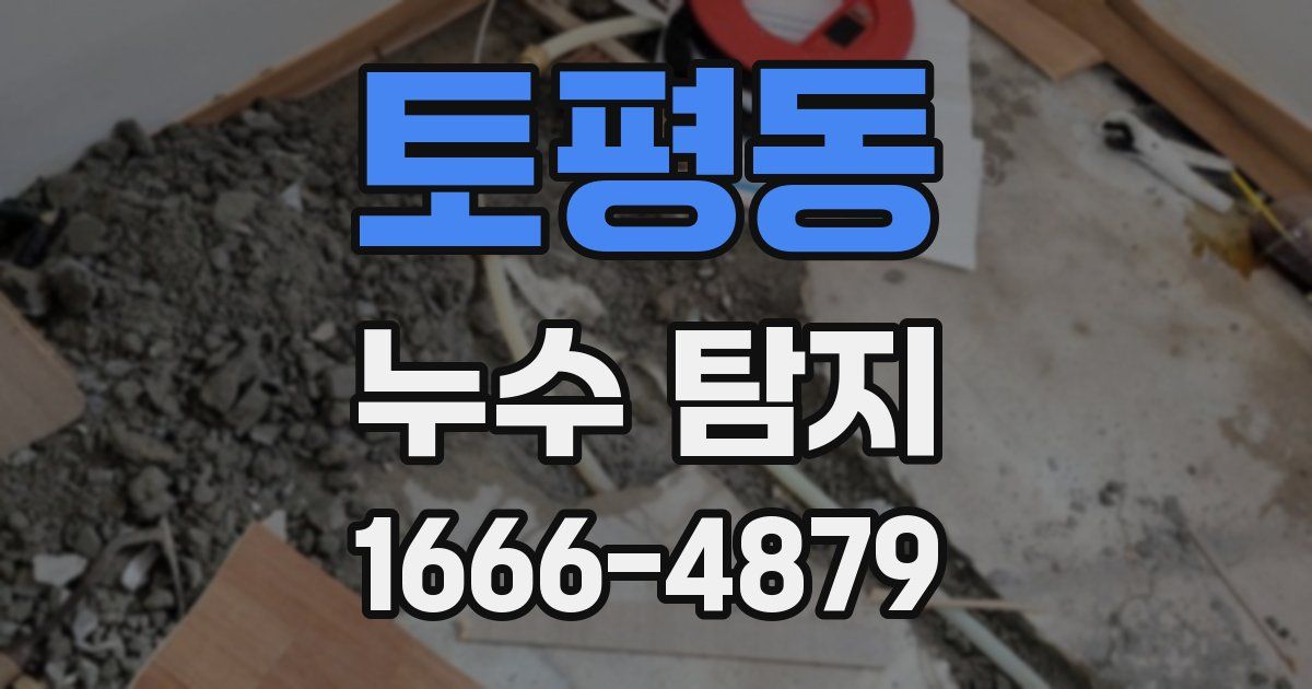 토평동 누수 탐지