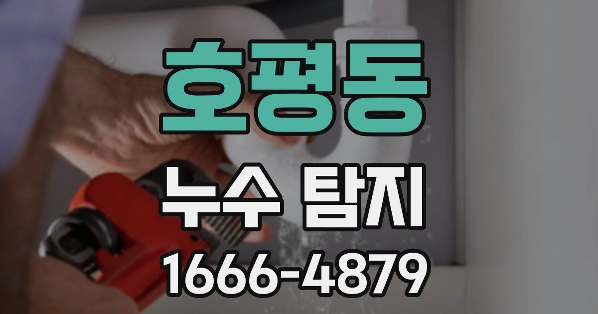 호평동 누수 탐지