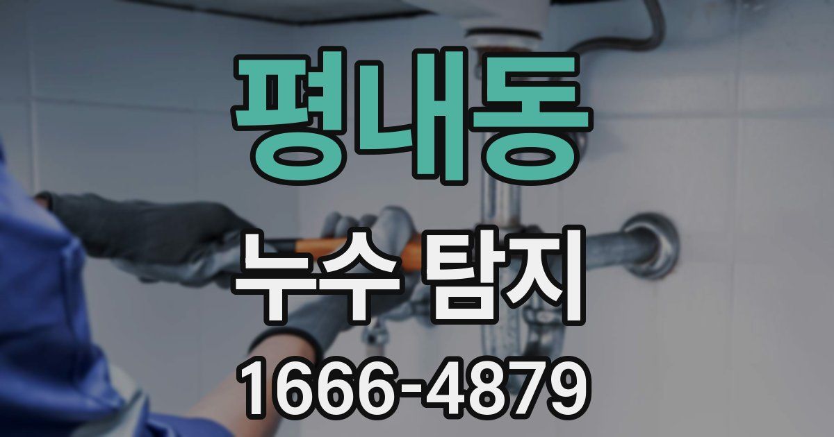 평내동 누수 탐지
