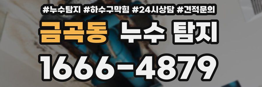 금곡동 누수 탐지