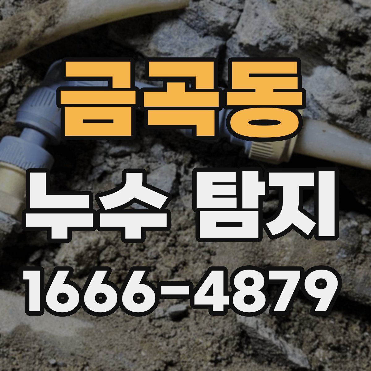 금곡동 누수 탐지