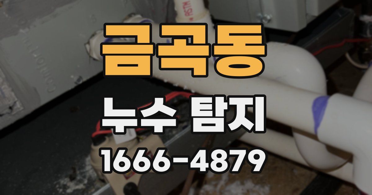 금곡동 누수 탐지