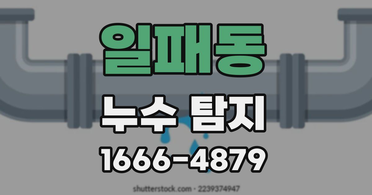 일패동 누수 탐지