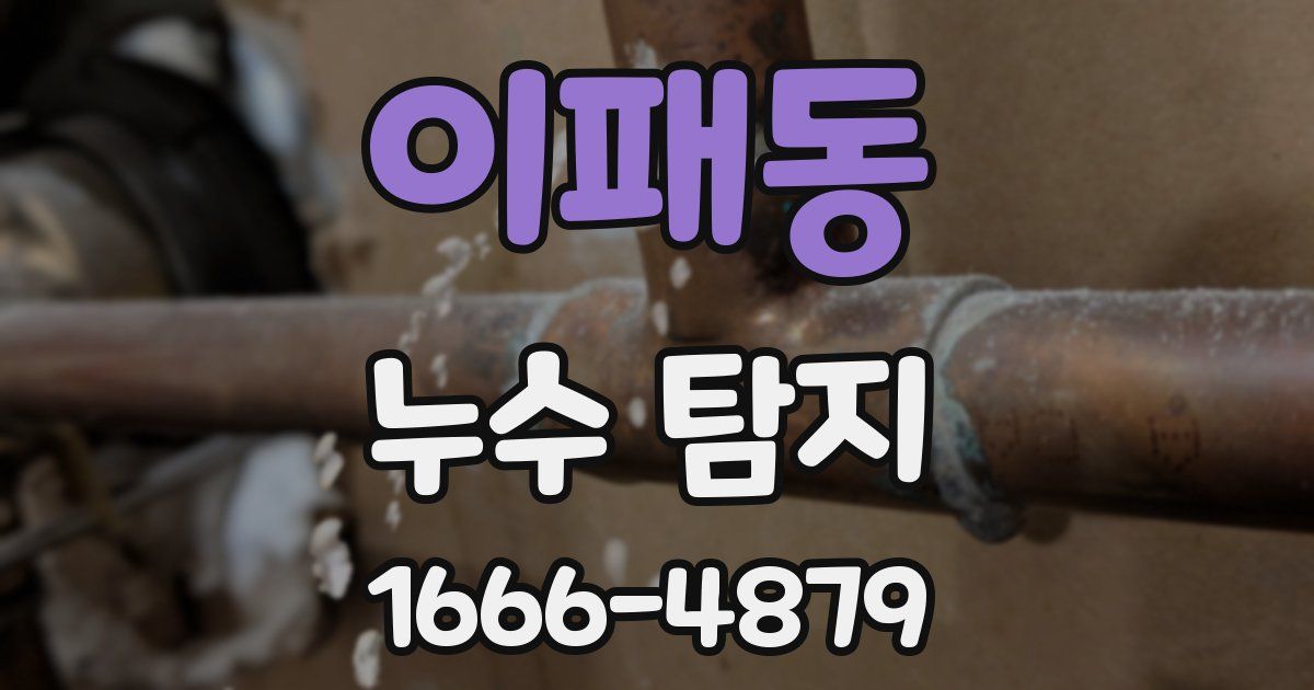 이패동 누수 탐지