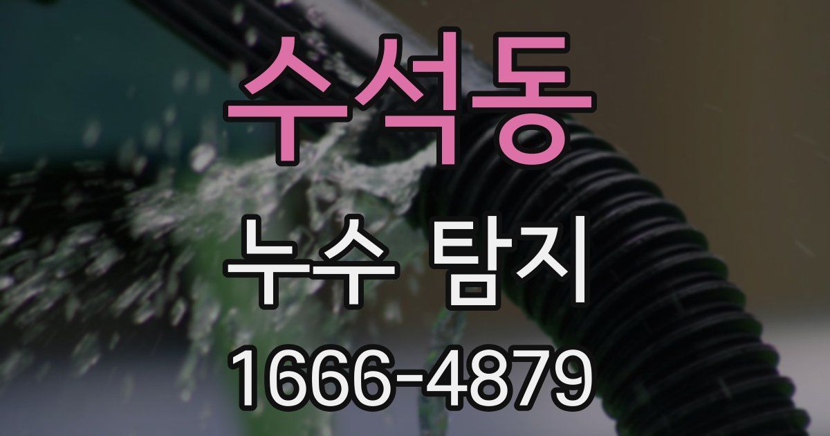 수석동 누수 탐지