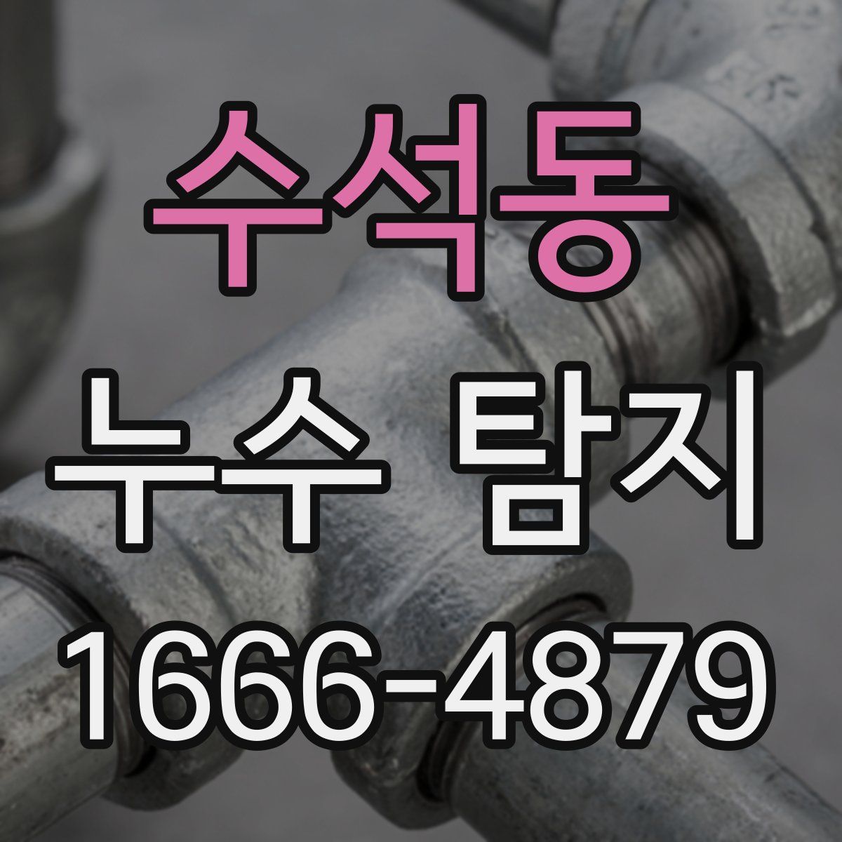 수석동 누수 탐지