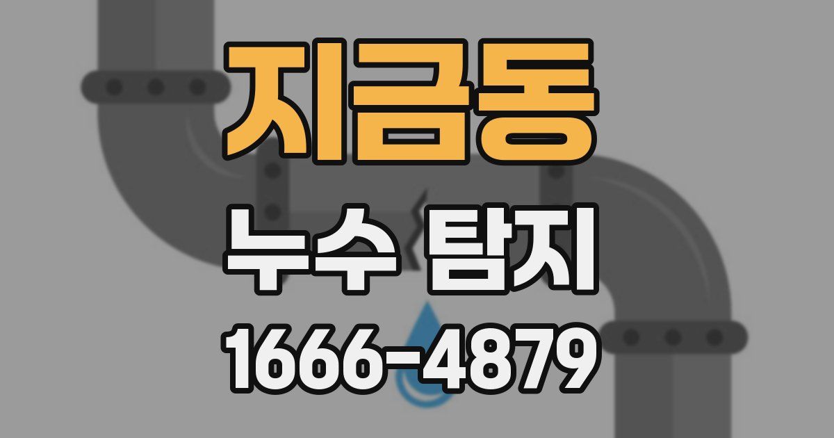 지금동 누수 탐지