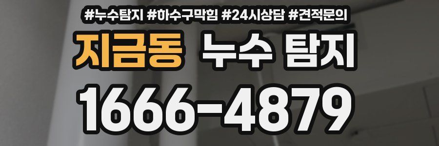 지금동 누수 탐지