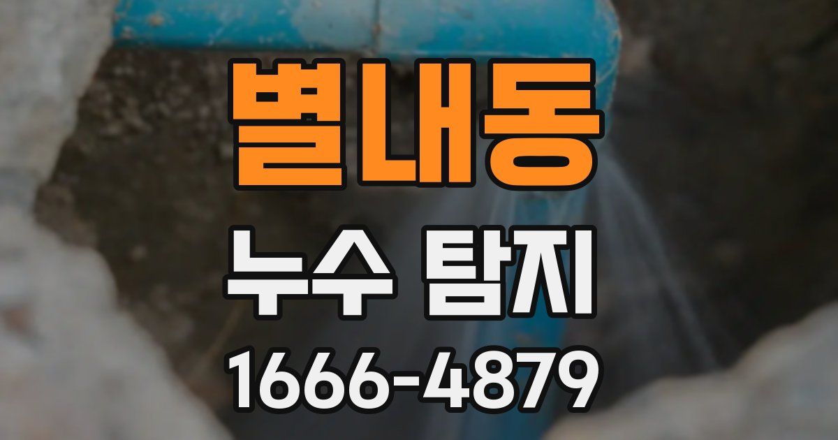 별내동 누수 탐지