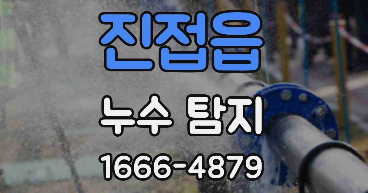진접읍 누수 탐지