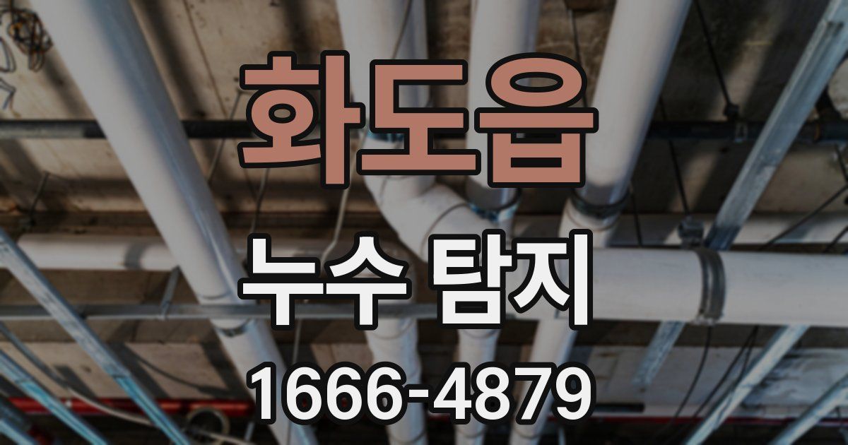 화도읍 누수 탐지