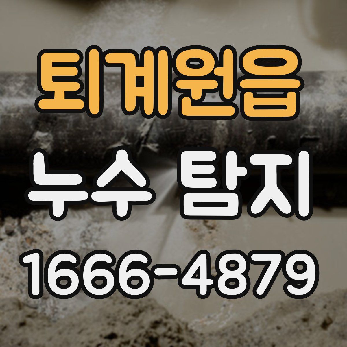 퇴계원읍 누수 탐지