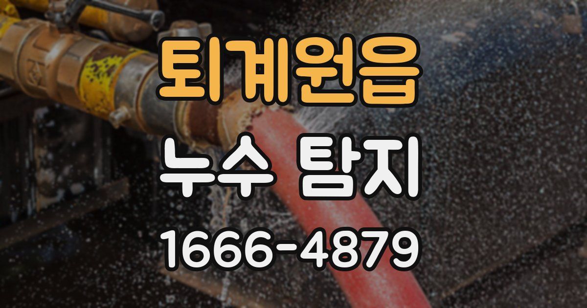 퇴계원읍 누수 탐지