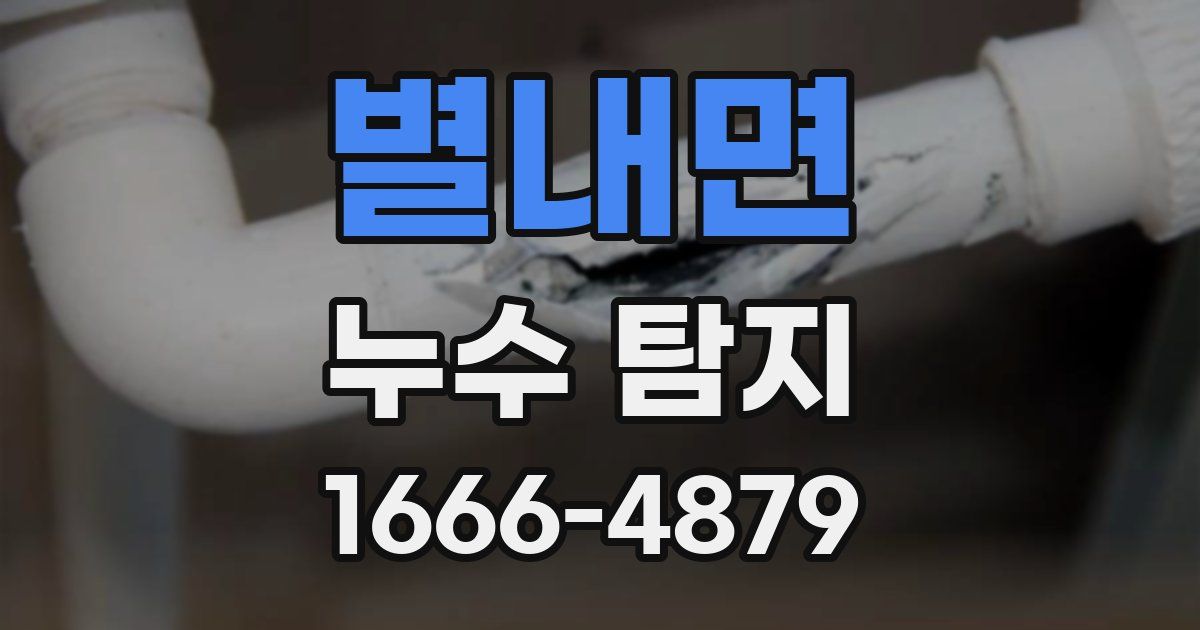 별내면 누수 탐지