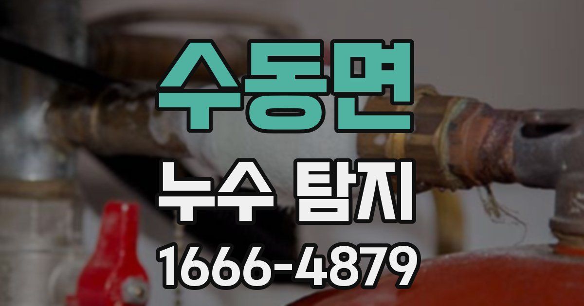 수동면 누수 탐지