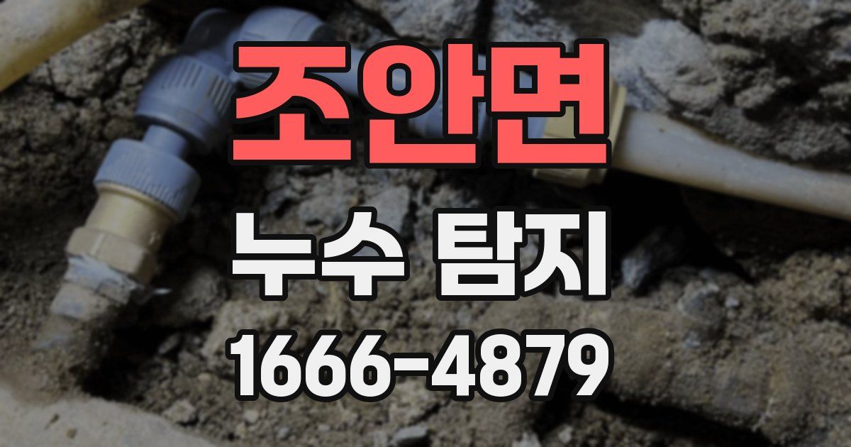조안면 누수 탐지