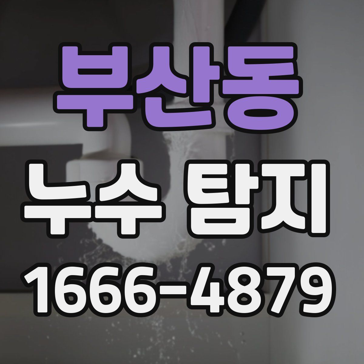 부산동 누수 탐지