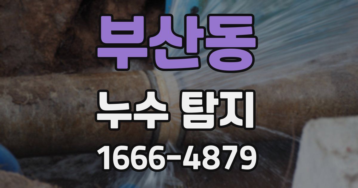부산동 누수 탐지