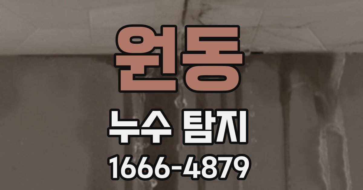 원동 누수 탐지