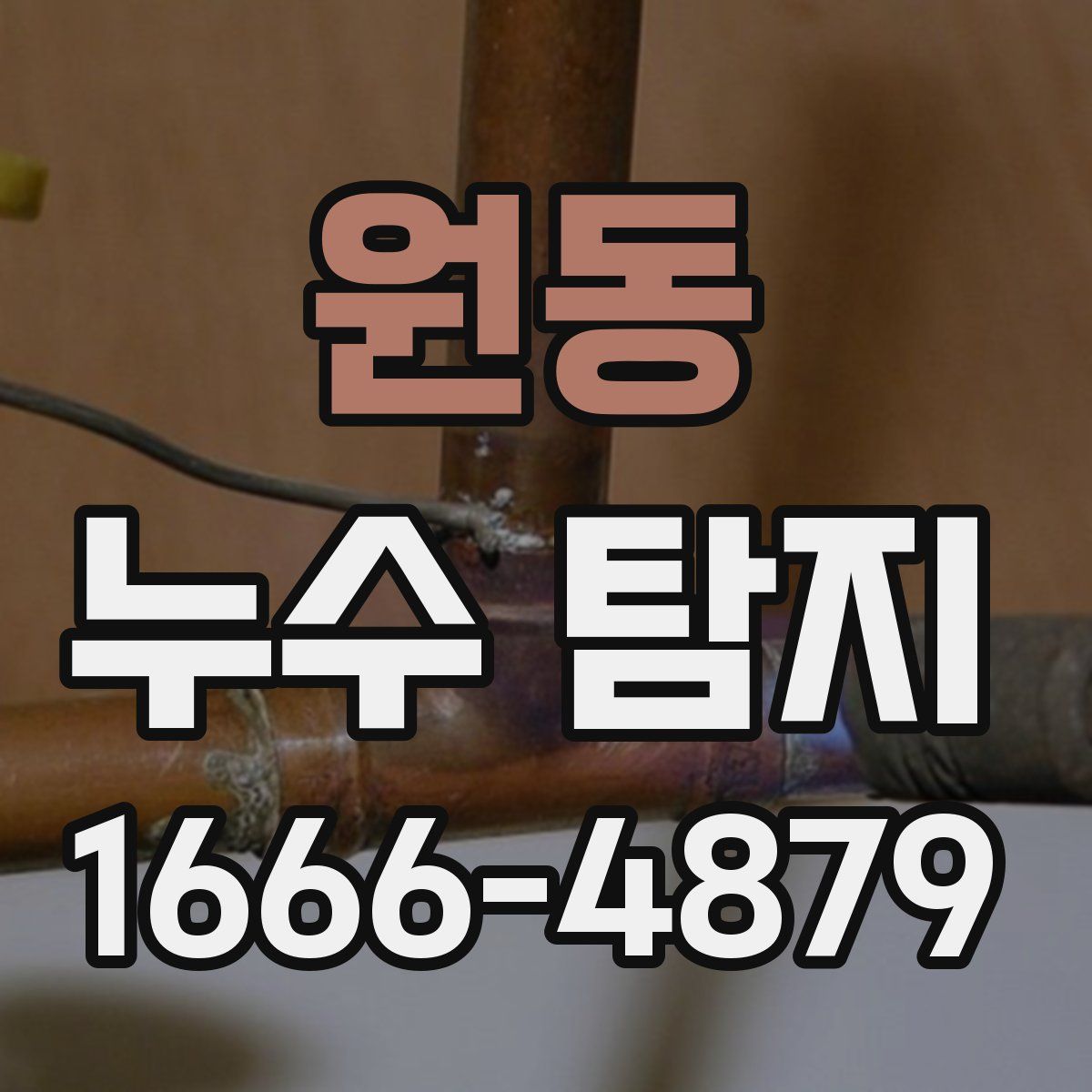 원동 누수 탐지