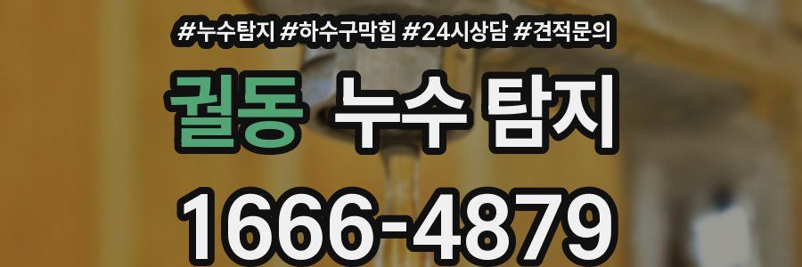 궐동 누수 탐지