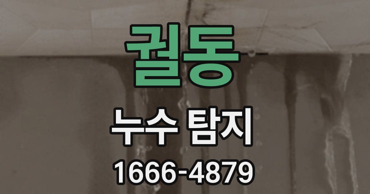 궐동 누수 탐지